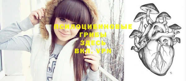 шишки Снежногорск
