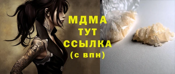 индика Арсеньев