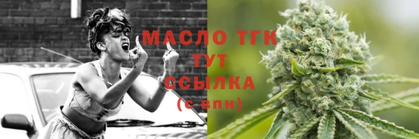 индика Арсеньев