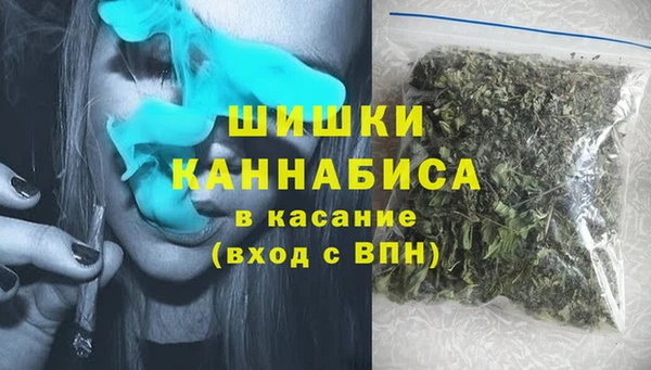шишки Снежногорск