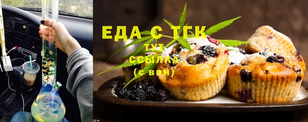 индика Арсеньев