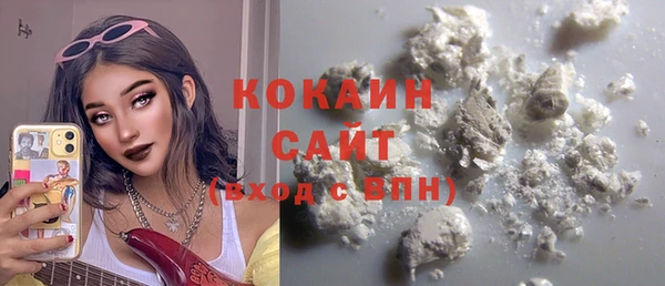 шишки Снежногорск